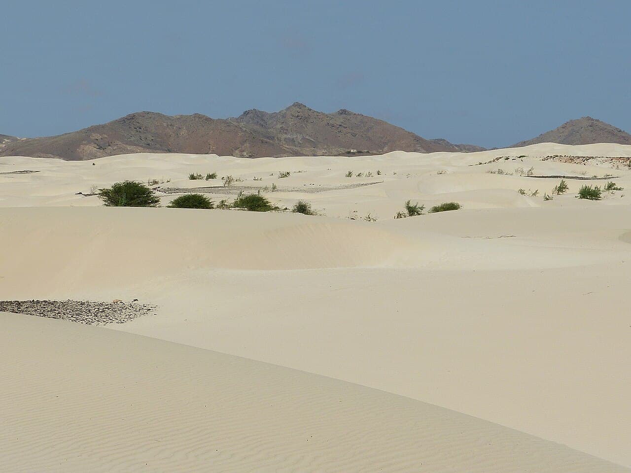 Orange sand dunes curving toward a turquoise ocean under a blue sky
