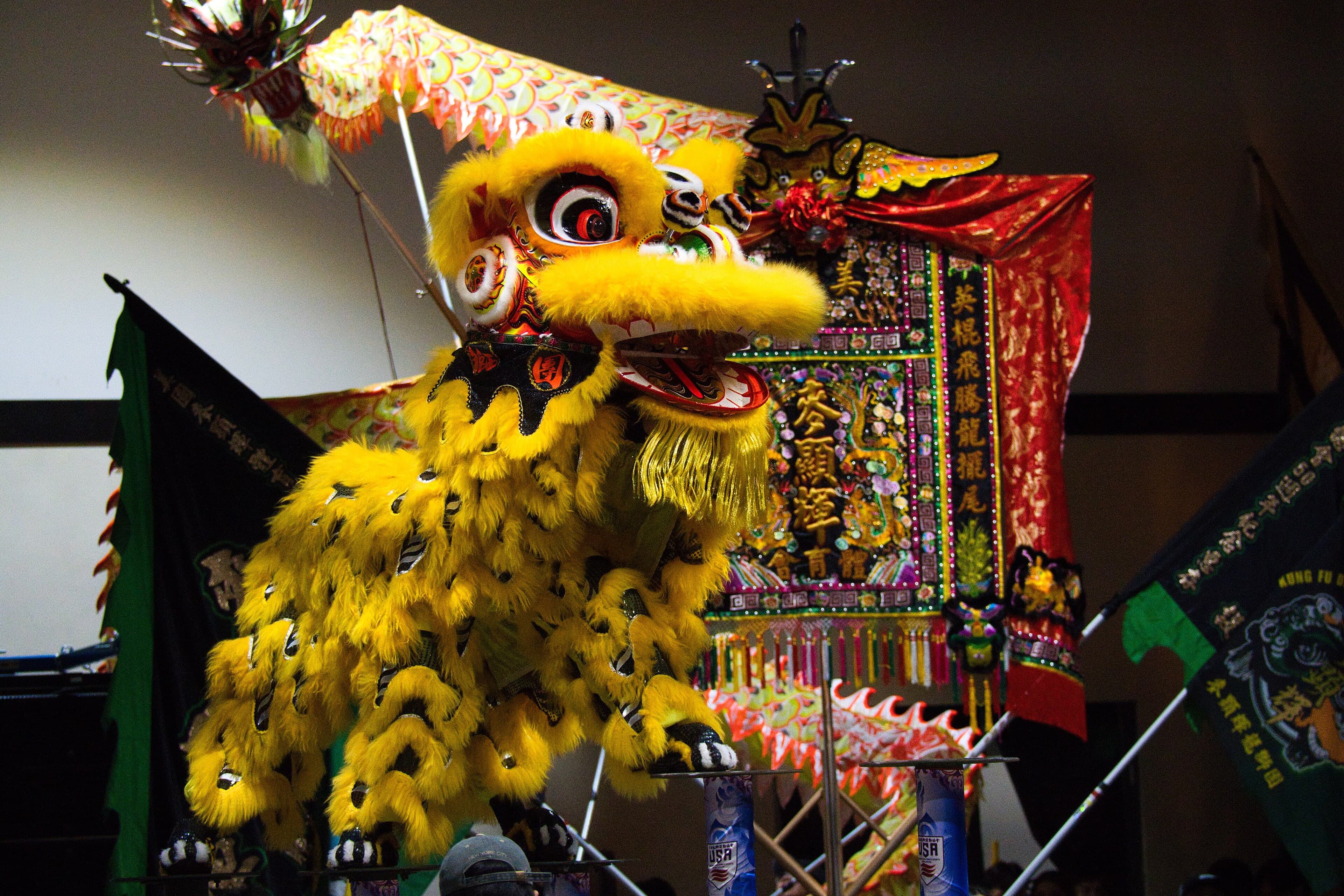Two performers inside a colourful lion dance costume with drums and cymbals in the background