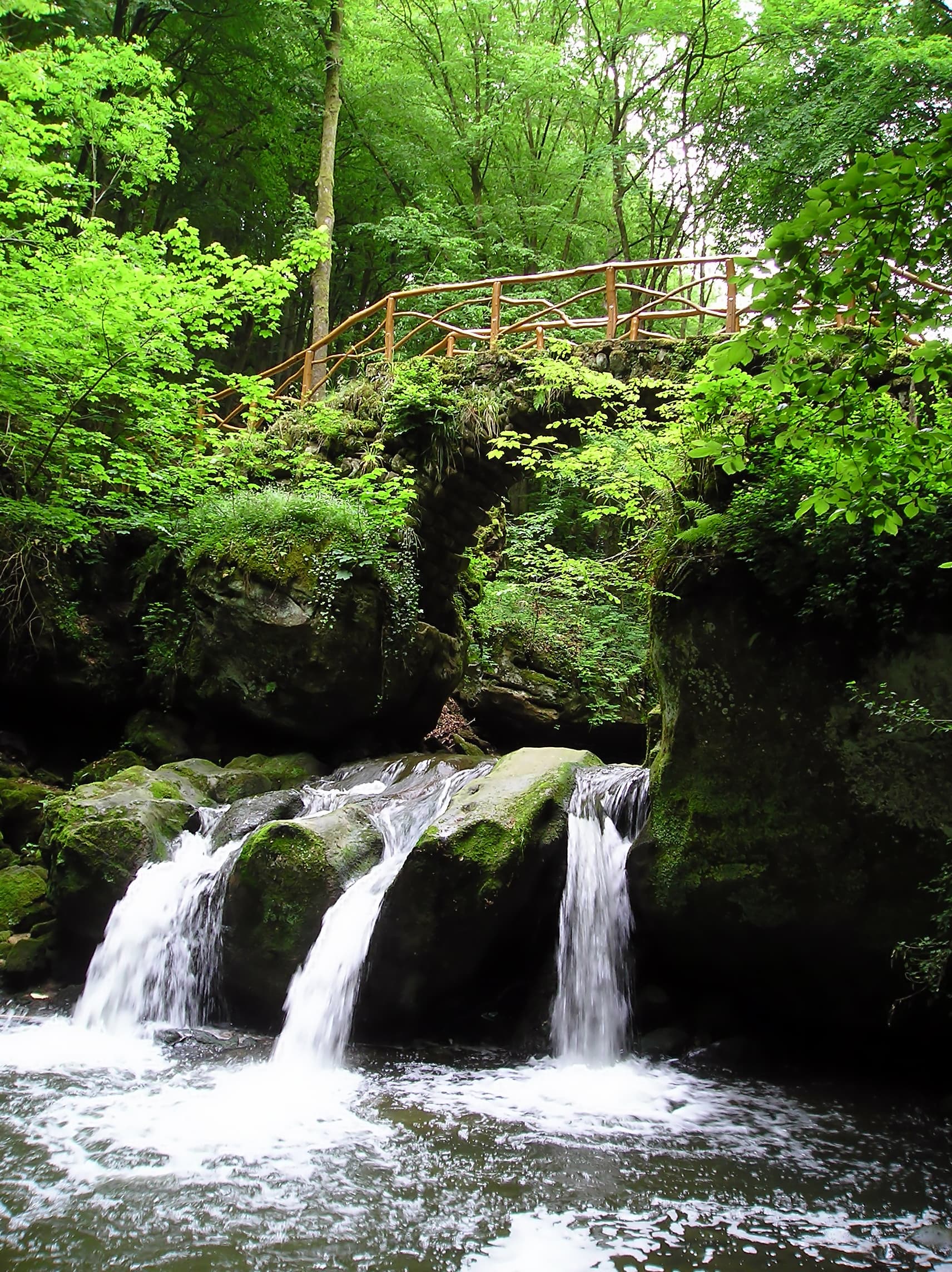 Mossy sandstone rocks and forest streams in the Mullerthal region