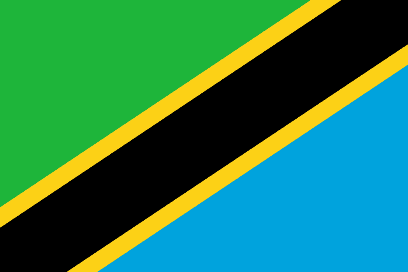 The flag of Tanzania