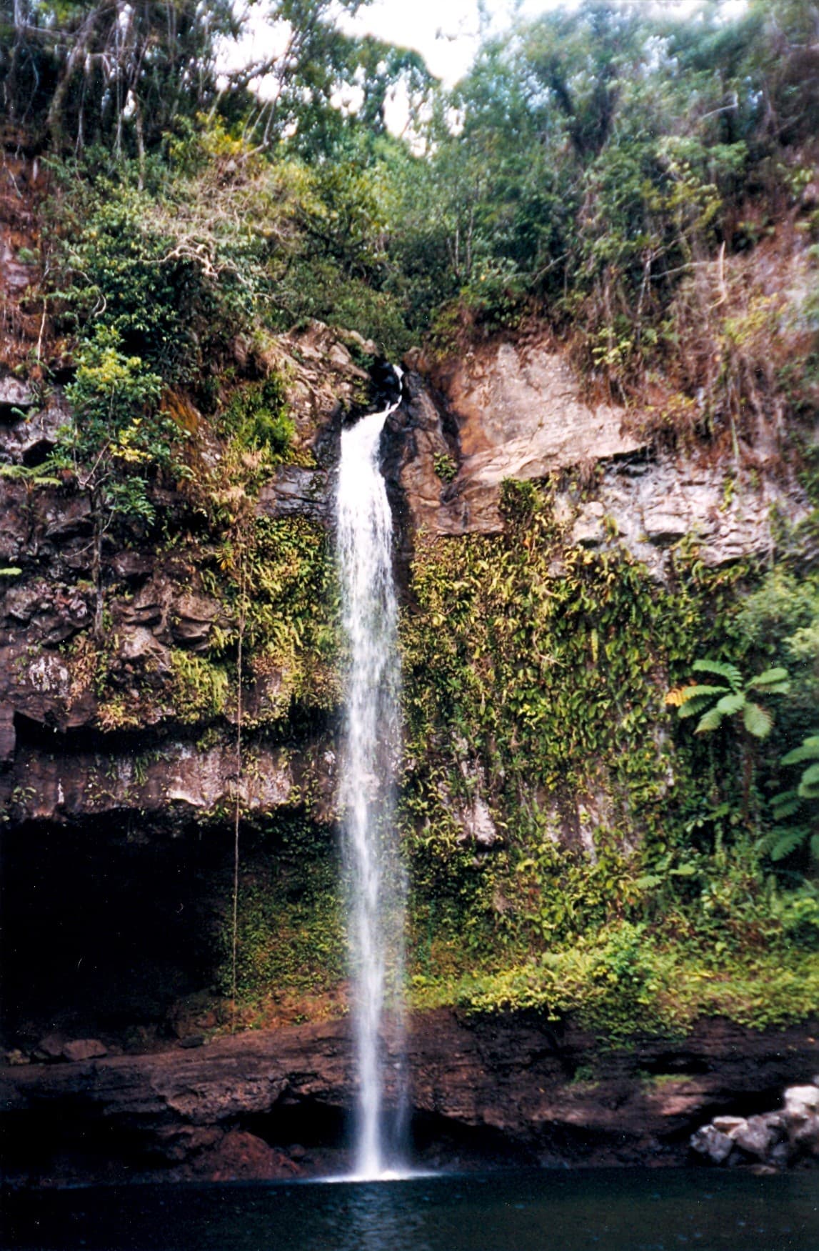 A wide waterfall falling into a clear green pool surrounded by rainforest at Bouma, Fiji